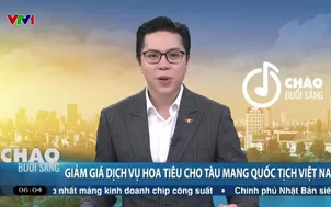 Giảm giá dịch vụ hoa tiêu cho tàu mang quốc tịch Việt Nam