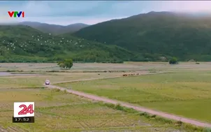 Đa dạng đề tài phim điện ảnh Việt mùa lễ 30/4