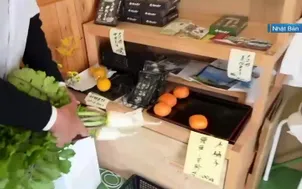 Mô hình nông trại "từ vườn đến bàn ăn"