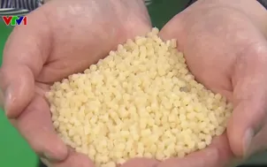 Hàn Quốc đẩy mạnh phát triển nhựa sinh học