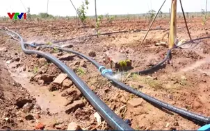 Kết nối nguồn nước, đảm bảo sản xuất vùng hạn