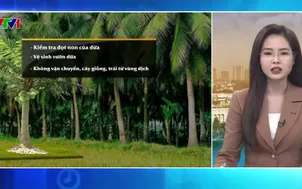 Bản tin thời tiết 5h30 - 02/4/2026