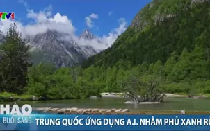 Trung Quốc ứng dụng A.I. nhằm phủ xanh rừng