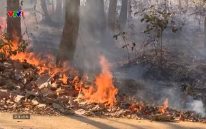 Đắk Lắk chủ động phòng, chống cháy rừng