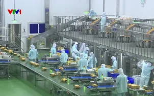 Hiệu quả đầu tư logistics ở đồng bằng sông Cửu Long