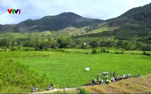 Nông dân có lãi nhờ chuyển trồng lạc