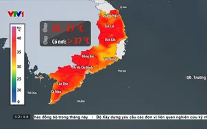 Báo động nguy cơ cháy rừng ở nhiều nơi