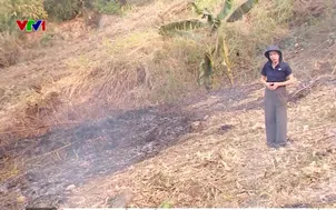 Tăng cường biện pháp phòng, chống cháy rừng