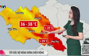 Bản tin thời tiết 12h30 - 11/4/2026