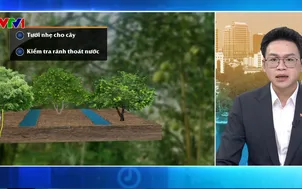 Bản tin thời tiết 5h30 - 14/4/2026