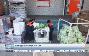 Làn sóng nông nghiệp thông minh tại Trung Quốc