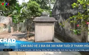 Cần bảo vệ 2 bia đá 300 năm tuổi tại Thanh Hóa 