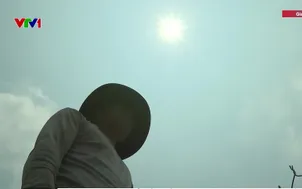 Nông dân tìm nước cứu cây trồng