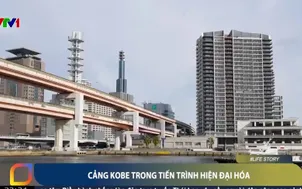Cảng Kobe trong tiến trình hiện đại hóa