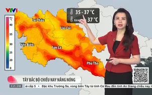 Bản tin thời tiết 12h30 - 14/4/2026