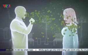 Bộ y tế yêu cầu cảnh giác với viêm não mô cầu