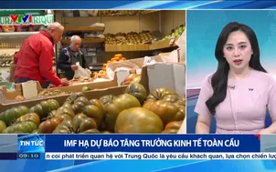 IMF hạ dự báo tăng trưởng kinh tế toàn cầu