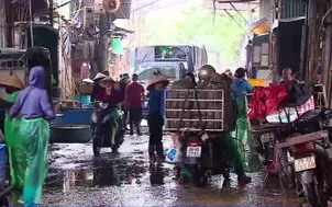 Hà Nội giải tỏa chợ cá tự phát quy mô lớn