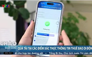 Quá tải tại các điểm xác thực thông tin thuê bao di động