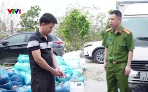 Xưởng giá đỗ sử dụng chất cấm