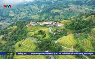 Du lịch nội địa hút khách dịp nghỉ lễ