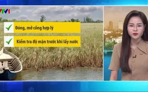 Bản tin thời tiết 5h30 - 21/4/2026