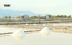 "Nghề nắng" ở vùng khô hạn nhất nước