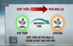 Hoàn thiện mô hình sàn giao dịch carbon