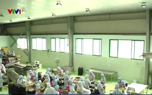 Định hình lại vùng nguyên liệu nông sản tại Tây Nguyên