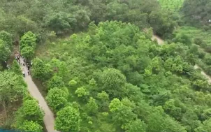 Công viên khí hậu