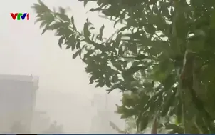 Nguy cơ dông, sét khi nông dân ra đồng