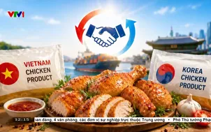 Việt Nam - Hàn Quốc mở cửa thị trường thịt gà chế biến