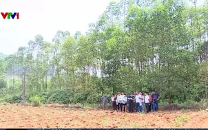 Tự vẽ sơ đồ tách thửa để lừa bán đất