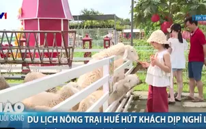 Du lịch nông trại Huế hút khách dịp nghỉ lễ
