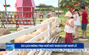 Du lịch nông trại Huế hút khách dịp nghỉ lễ