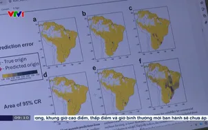 Công nghệ truy xuất nguồn gốc đậu nành nhập khẩu 