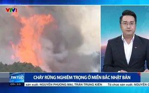 Cháy rừng nghiêm trọng ở miền Bắc Nhật Bản