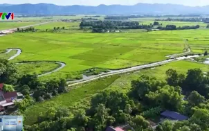 Miễn thuế thu nhập cá nhân với nhiều khoản 