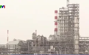 Cuộc chiến giá dầu trong OPEC