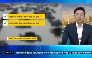 Bản tin thời tiết 5h30 - 01/5/2026