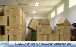 Cảnh giác bẫy lừa đảo trong xuất khẩu nông sản