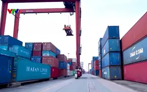 Cảnh giác bẫy lừa đảo xuất khẩu nông sản