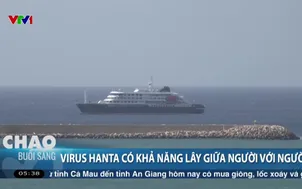 Virus Hanta có khả năng lây giữa người với người