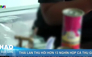 Thái Lan thu hồi hơn 13 nghìn hộp cá thu giả