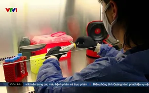 Who phối hợp Tây Ban Nha ứng phó virus Hanta