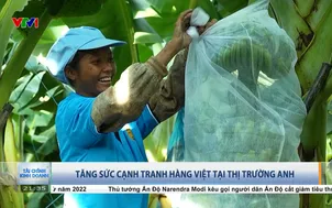 Tăng sức cạnh tranh hàng Việt tại thị trường Anh