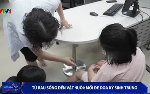 Từ rau sống đến vật nuôi: Mối đe dọa ký sinh trùng