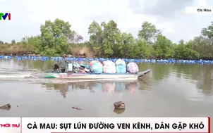 Cà Mau: Sụt lún đường ven kênh, dân gặp khó