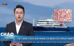 Việt Nam chưa ghi nhận ca bệnh do virus Hanta