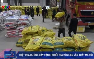 Triệt phá đường dây vận chuyển nguyên liệu sản xuất ma túy